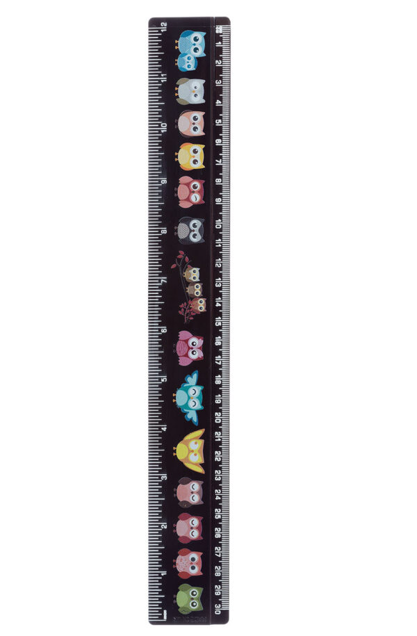 30cm+Ruler+Black