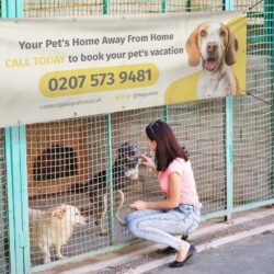 Custom printed banners