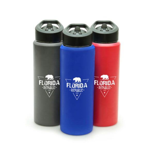 SEDDON 750ml COLOUR CHANGING STAINLESS STEEL DRINKS BOTTLE
