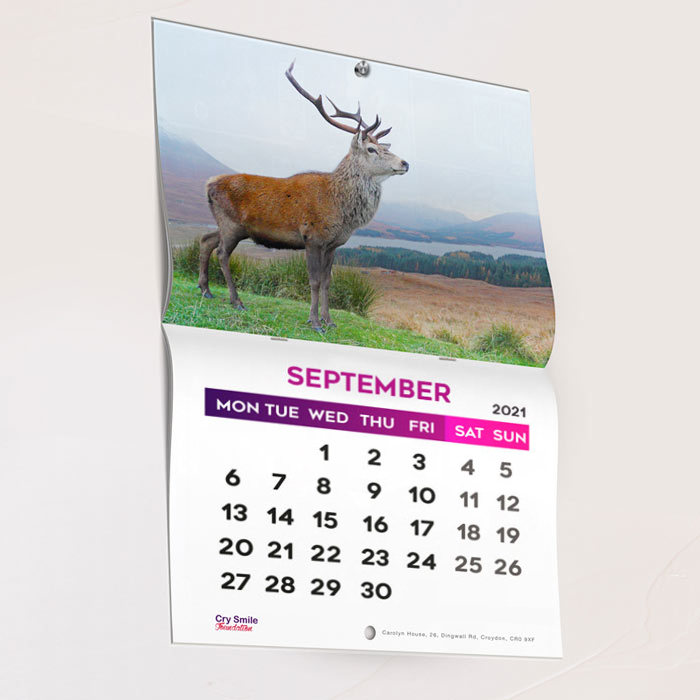 Promotional Wall Calendar Printing Poole Printing Services