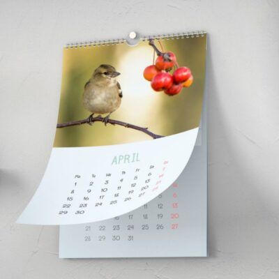Calendars Wall